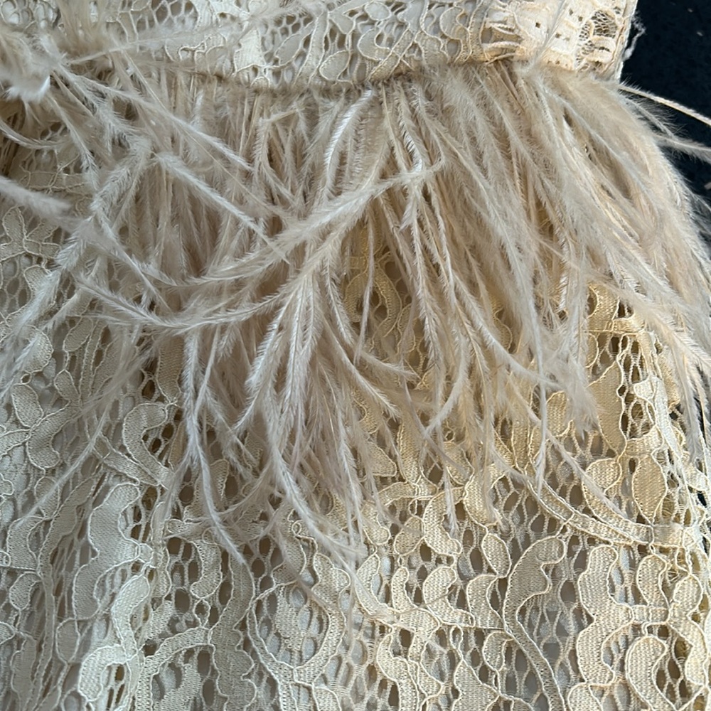 Feather and Lace Dress - Picture 10 of 14